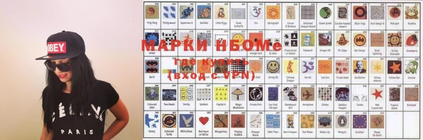 шишки Арсеньев
