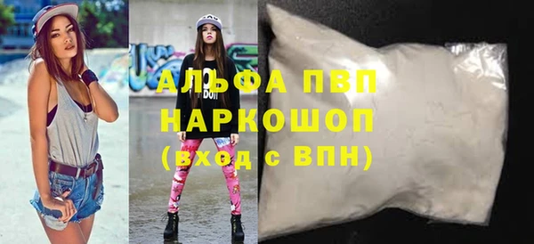 шишки Арсеньев