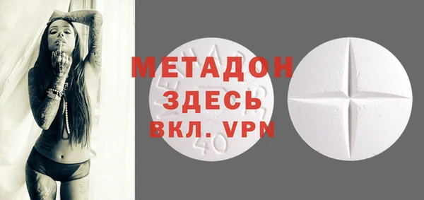 шишки Арсеньев