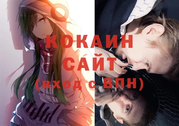 шишки Арсеньев