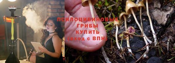шишки Арсеньев