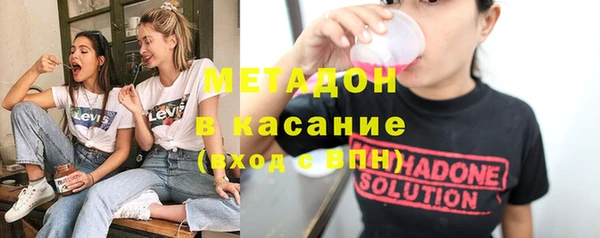шишки Арсеньев