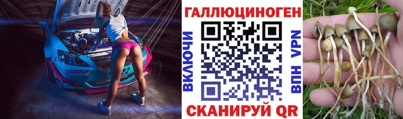 мега tor  darknet телеграм  Галлюциногенные грибы MAGIC MUSHROOMS  Няндома 