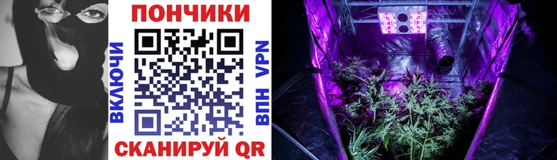Каннабис сатива  где найти наркотики  МЕГА зеркало  Няндома 